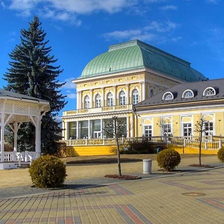 Penzion U Modreho Slona Františkovy Lázně Εξωτερικό φωτογραφία
