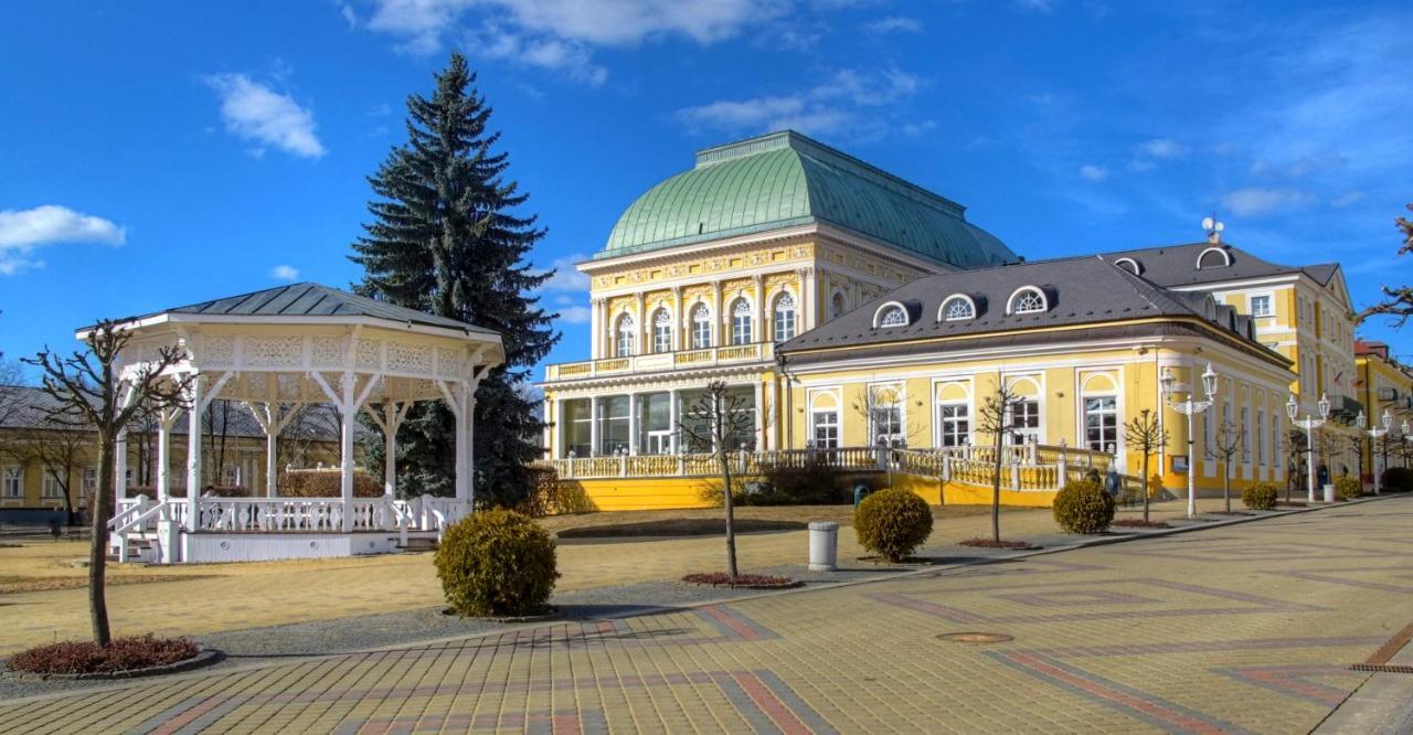 Penzion U Modreho Slona Františkovy Lázně Εξωτερικό φωτογραφία